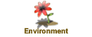 Environment